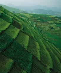 Volcanoes National Park Rwanda